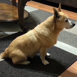 Meet your Posher, Marco